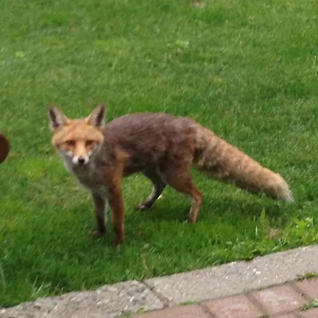 Miravalle 3* Courmayeur